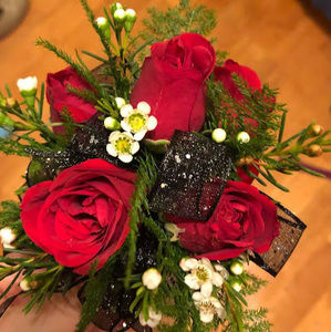 Meet your Posher, Mary